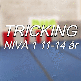 Tricking Nivå 1 11-14 år Mandag Høst 2025